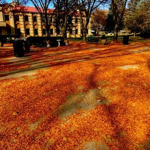 Meet your Posher, Amalia